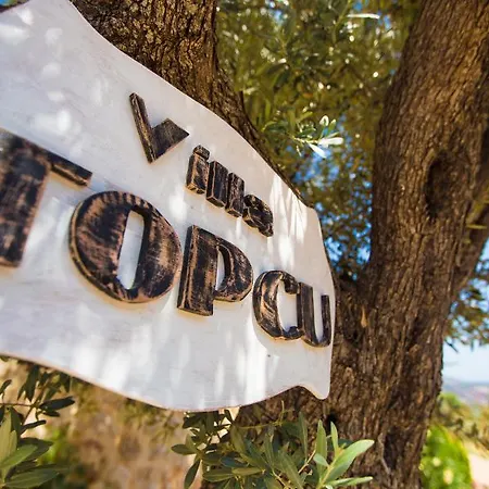 Вилла Topcu